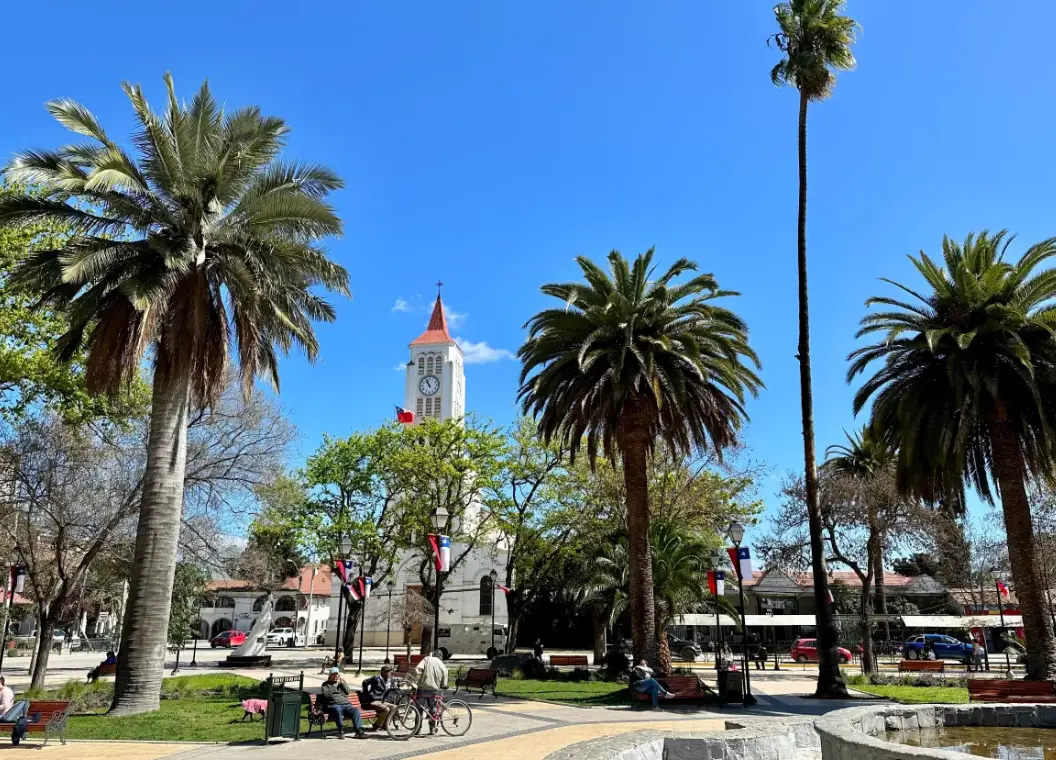 Qué hacer en Casablanca